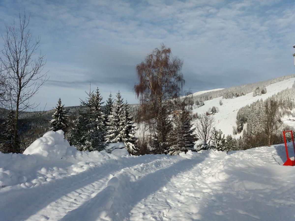 Horska Svetlanka